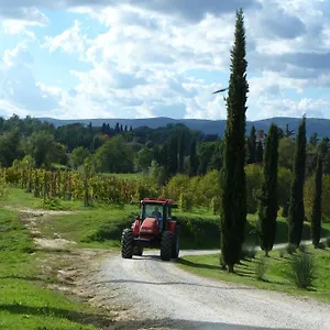 La Grotta Di Montecchino , Siena Italien